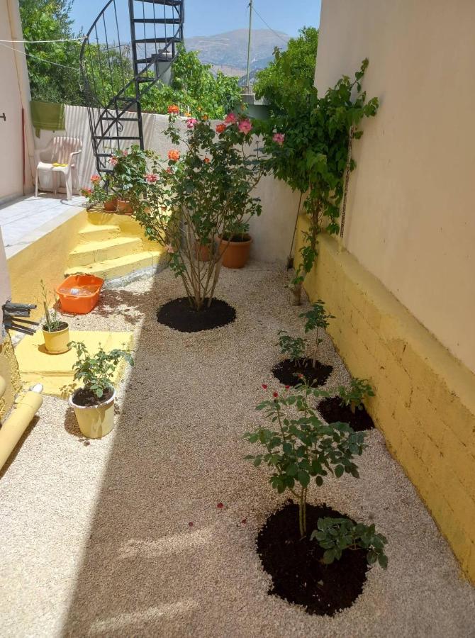 Villa Zoe'S House In Argostoli Extérieur photo